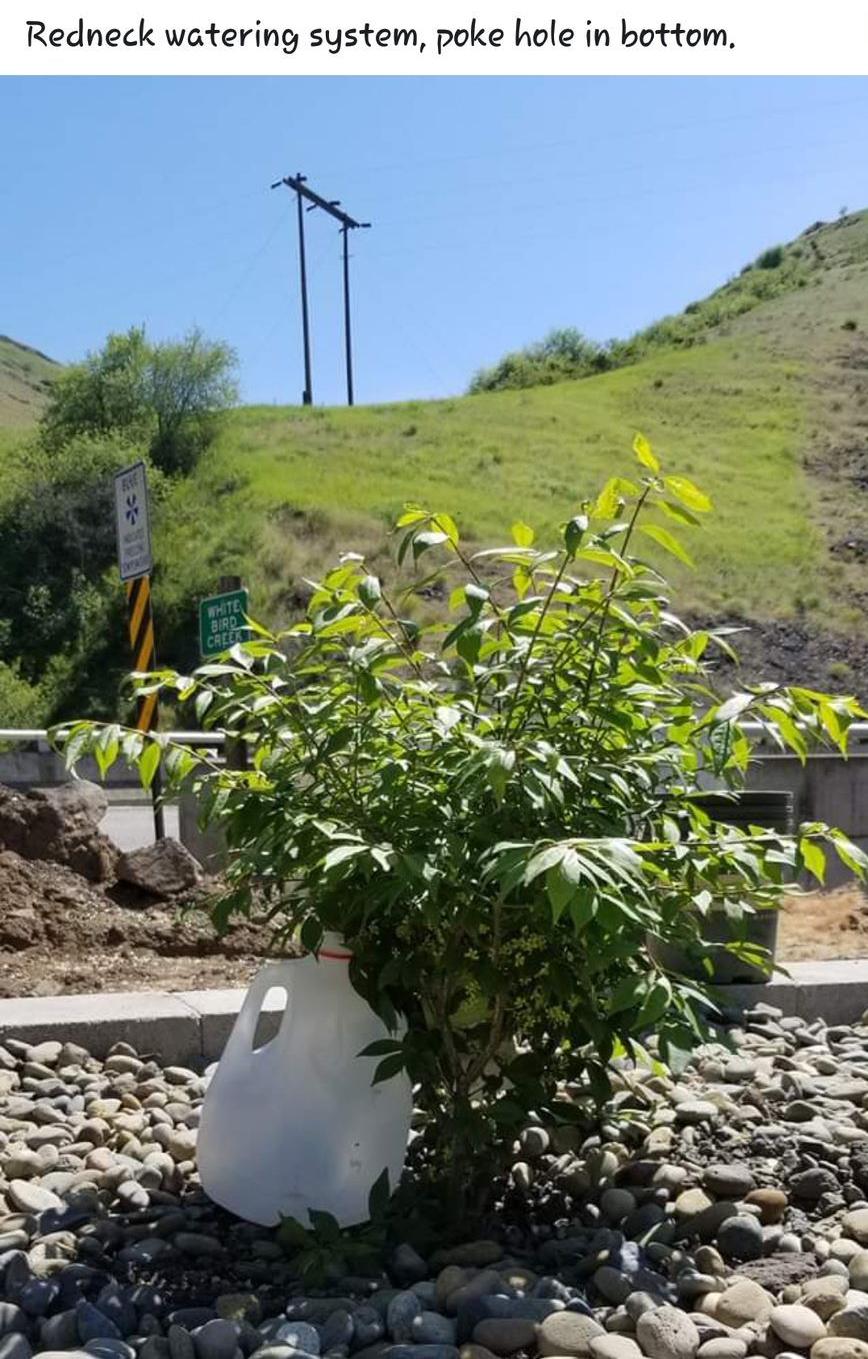 Redneck watering system
